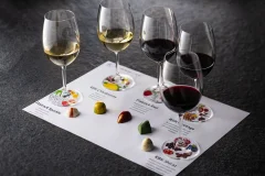 Cape Town Wine Tours
