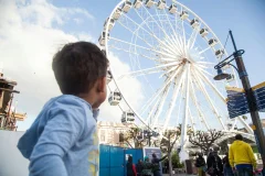 Cape Wheel