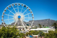 Cape Wheel