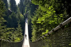 Capilano Suspension Bridge Park