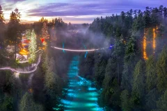 Capilano Suspension Bridge Park