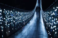 Capilano Suspension Bridge Park