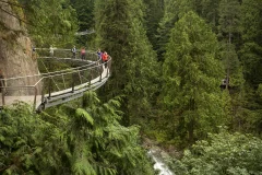 Capilano Suspension Bridge Park