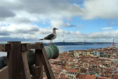 Castelo de São Jorge