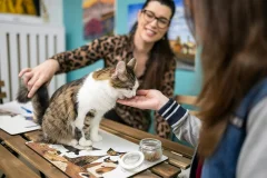 Cat Museum Budapest