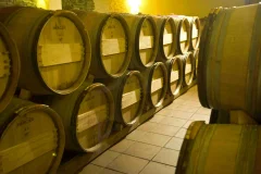 Celler Martín Faixó - Sa Perafita