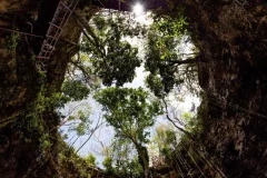 Cenote Day Trips from Cancún
