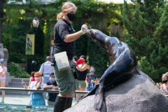 Central Park Zoo
