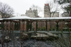 Central Park Zoo