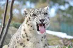 Central Park Zoo