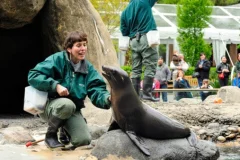 Central Park Zoo