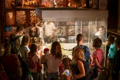 Charles Bridge Museum