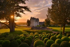 Château d'Amboise