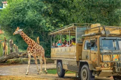 Chessington World of Adventures