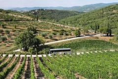 Chianti Wine Tours