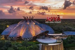 Cirque Du Soleil JOYÀ