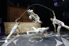Cirque Du Soleil JOYÀ