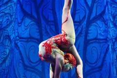 Cirque Du Soleil JOYÀ