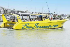 Clearwater Day Trips from Orlando