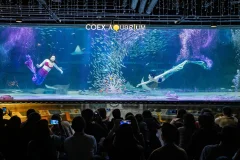 COEX Aquarium