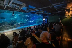 COEX Aquarium
