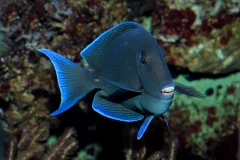Cologne Zoo & Aquarium