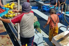 Confraria de Pescadors de Barcelona