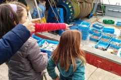Confraria de Pescadors de Barcelona