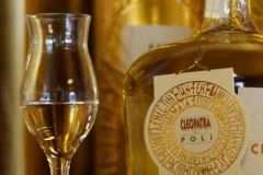 Culinary Places in Venice