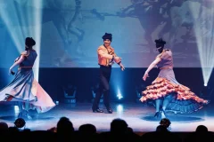 Dance Shows in Tenerife