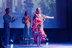 Dance Shows in Tenerife