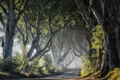 Day Trips from Belfast