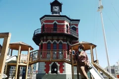 Day Trips from Cape Town