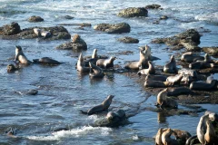 Day Trips from Christchurch
