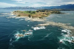 Day Trips from Christchurch