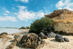 Day Trips from Doha