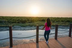 Day Trips from Doha