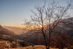 Day Trips from Granada