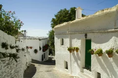 Day Trips from Granada