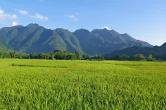 Day Trips From Hanoi