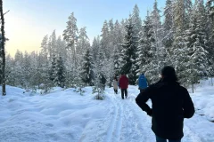 Day Trips from Helsinki