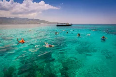Day Trips from Lombok