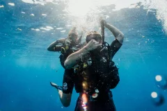 Day Trips from Lombok