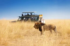 Day Trips from Nairobi