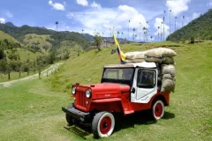 Day Trips from Pereira