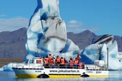 Day Trips from Reykjavik