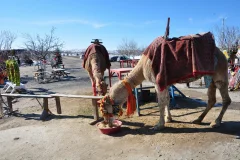 Day Trips from Ürgüp