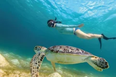 Day Trips from Riviera Maya
