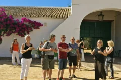 Day Trips from Seville