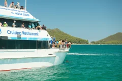 Day Trips from Sydney